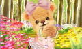 Kuma Tomo (Happy Price Selection) thumbnail 11