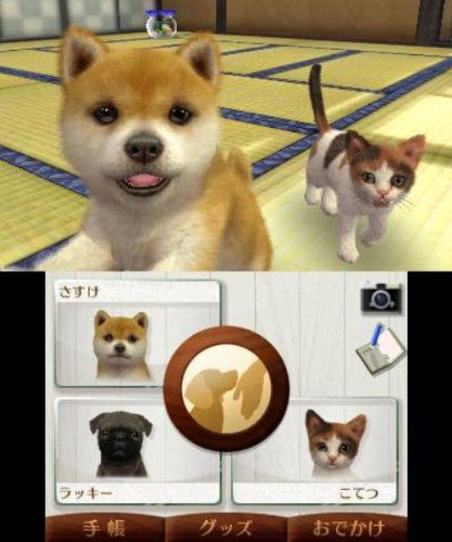 Nintendogs + Cats: Shiba & New Friends (Happy Price Selection) image 3