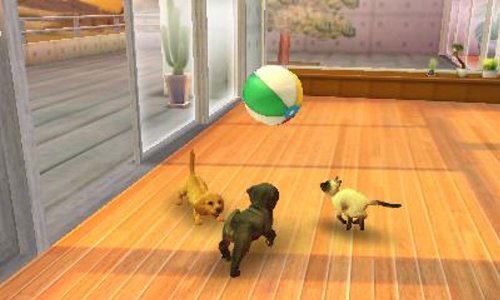 Nintendogs + Cats: Shiba & New Friends (Happy Price Selection) image 4