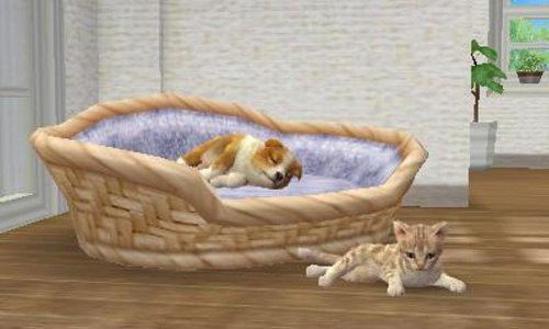 Nintendogs + Cats: Shiba & New Friends (Happy Price Selection) image 5