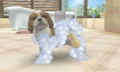 Nintendogs + Cats: Shiba & New Friends (Happy Price Selection) thumbnail 6