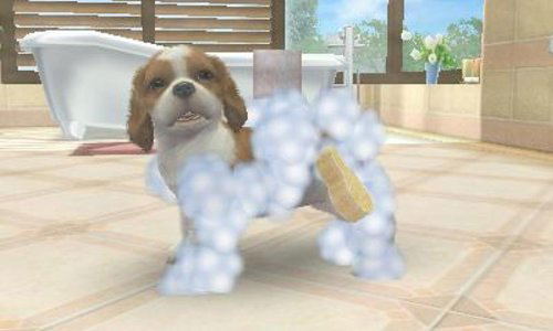 Nintendogs + Cats: Shiba & New Friends (Happy Price Selection) image 6