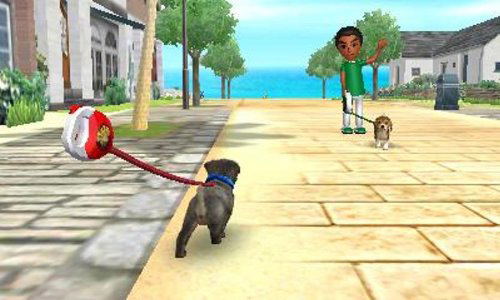 Nintendogs + Cats: Shiba & New Friends (Happy Price Selection) image 7