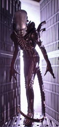ARTFX+ Alien 1/10 Scale Pre-Painted Figure: Big Chap (Re-run) thumbnail 15