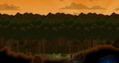 Starbound <span class="ext" style="background-color: #2a475e; color: #FFFFFF;">STEAM</span> <span class="ext ext_digital">digital</span> thumbnail 8
