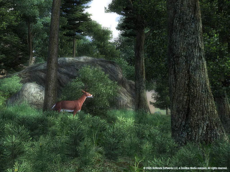 The Elder Scrolls IV: Oblivion <span class="ext" style="background-color: #2a475e; color: #FFFFFF;">STEAM</span> <span class="ext ext_digital">digital</span> image 15