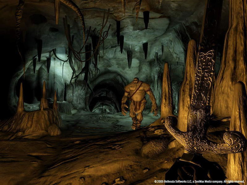 The Elder Scrolls IV: Oblivion <span class="ext" style="background-color: #2a475e; color: #FFFFFF;">STEAM</span> <span class="ext ext_digital">digital</span> image 16