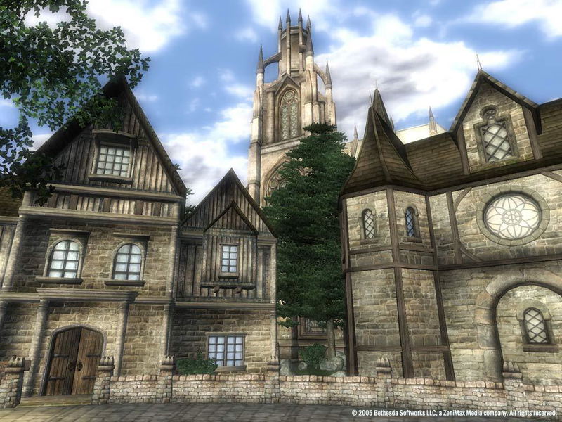 The Elder Scrolls IV: Oblivion <span class="ext" style="background-color: #2a475e; color: #FFFFFF;">STEAM</span> <span class="ext ext_digital">digital</span> image 17