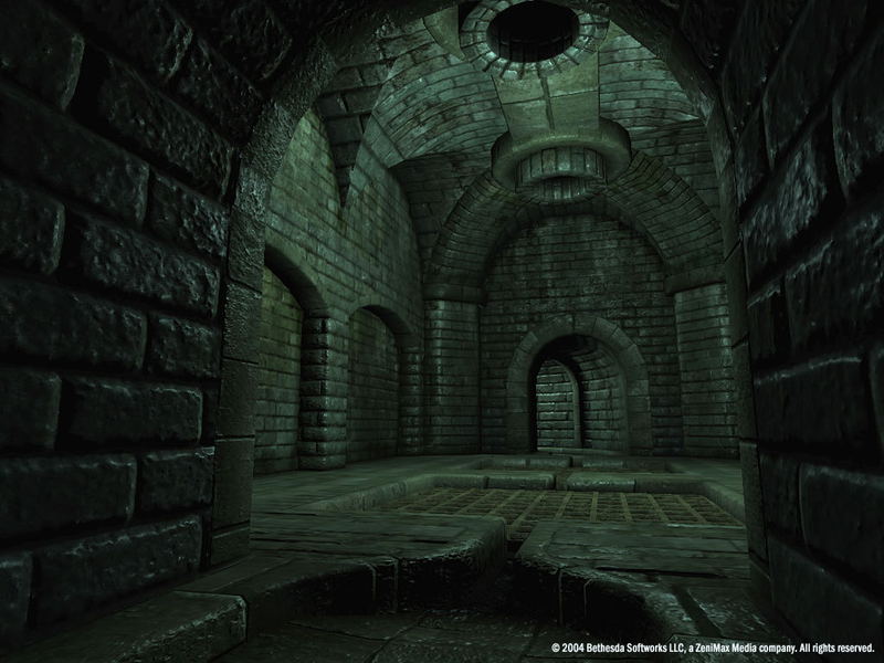 The Elder Scrolls IV: Oblivion <span class="ext" style="background-color: #2a475e; color: #FFFFFF;">STEAM</span> <span class="ext ext_digital">digital</span> image 22