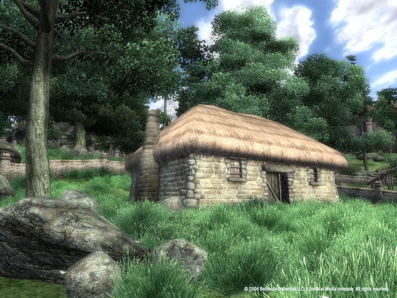 The Elder Scrolls IV: Oblivion <span class="ext" style="background-color: #2a475e; color: #FFFFFF;">STEAM</span> <span class="ext ext_digital">digital</span> image 25