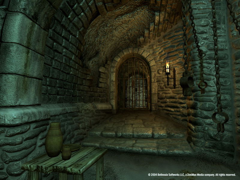 The Elder Scrolls IV: Oblivion <span class="ext" style="background-color: #2a475e; color: #FFFFFF;">STEAM</span> <span class="ext ext_digital">digital</span> image 26