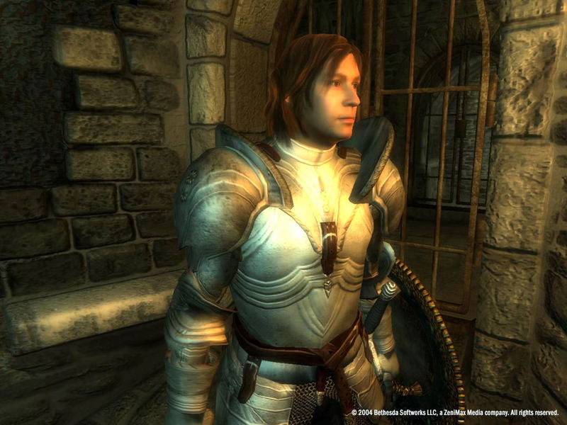 The Elder Scrolls IV: Oblivion <span class="ext" style="background-color: #2a475e; color: #FFFFFF;">STEAM</span> <span class="ext ext_digital">digital</span> image 28