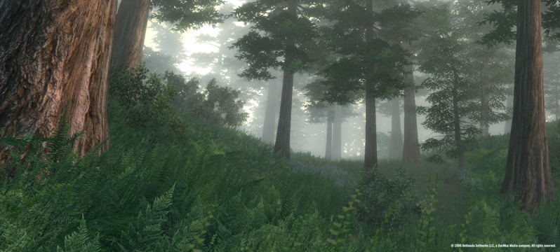 The Elder Scrolls IV: Oblivion <span class="ext" style="background-color: #2a475e; color: #FFFFFF;">STEAM</span> <span class="ext ext_digital">digital</span> image 2