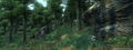 The Elder Scrolls IV: Oblivion <span class="ext" style="background-color: #2a475e; color: #FFFFFF;">STEAM</span> <span class="ext ext_digital">digital</span> thumbnail 3