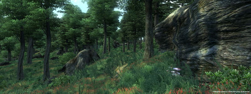 The Elder Scrolls IV: Oblivion <span class="ext" style="background-color: #2a475e; color: #FFFFFF;">STEAM</span> <span class="ext ext_digital">digital</span> image 3