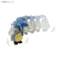 My Neighbor Totoro: Jumping Totoro thumbnail 2
