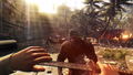 Dead Island: Definitive Collection thumbnail 13