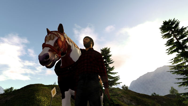 Forestry 2017: The Simulation (DVD-ROM) image 4