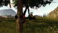 Forestry 2017: The Simulation (DVD-ROM) thumbnail 13