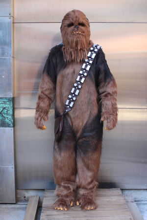 Star Wars: Chewbacca Suits_