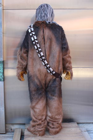 Star Wars: Chewbacca Suits_