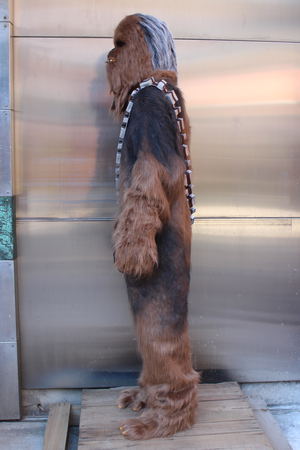 Star Wars: Chewbacca Suits_