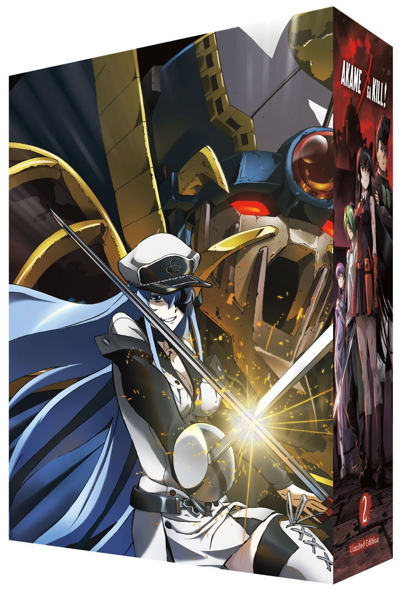 Akame Ga Kill! - Collection 2 (Premium Box Set) [Blu-ray+DVD+CD] image 2