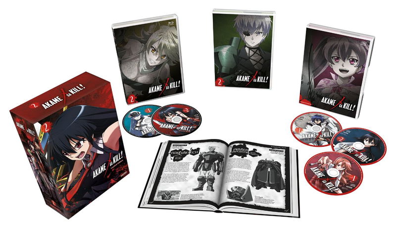 Akame Ga Kill! - Collection 2 (Premium Box Set) [Blu-ray+DVD+CD] image 3