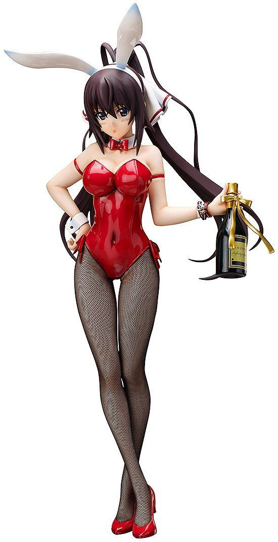 IS (Infinite Stratos) 1/4 Scale Pre-Painted Figure: Houki Shinonono Bunny Ver. image 1