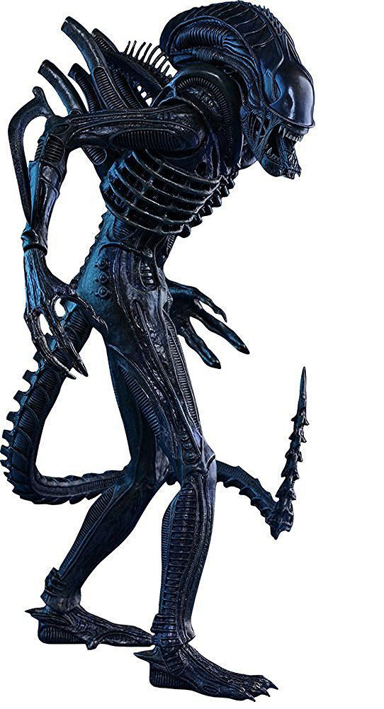 Aliens 1/6 Scale Collectible Figure: Alien Warrior - Bitcoin & Lightning  accepted