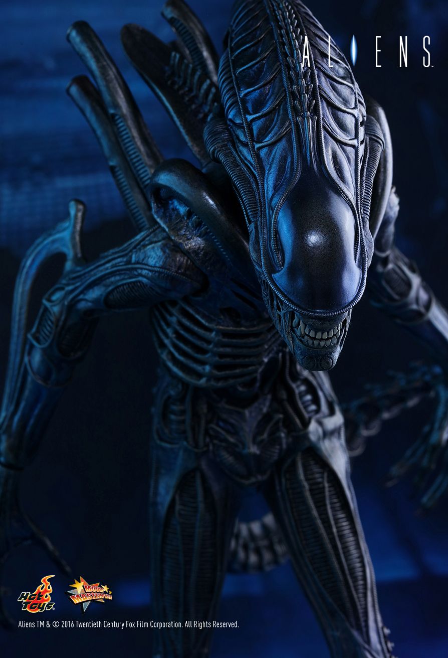 Aliens 1/6 Scale Collectible Figure: Alien Warrior