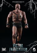 Victor Frankenstein 1/6 Scale Pre-Painted Action Figure: Victor Frankenstein - Prometheus thumbnail 13