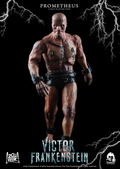Victor Frankenstein 1/6 Scale Pre-Painted Action Figure: Victor Frankenstein - Prometheus thumbnail 14