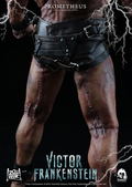 Victor Frankenstein 1/6 Scale Pre-Painted Action Figure: Victor Frankenstein - Prometheus thumbnail 20
