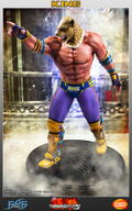 Tekken 5 1/4 Scale Statue: King II thumbnail 1