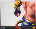 Tekken 5 1/4 Scale Statue: King II thumbnail 5