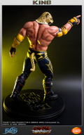 Tekken 5 Dark Resurrection 1/4 Scale Statue: King II thumbnail 13
