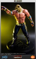 Tekken 5 Dark Resurrection 1/4 Scale Statue: King II thumbnail 19