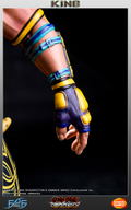 Tekken 5 Dark Resurrection 1/4 Scale Statue: King II thumbnail 21
