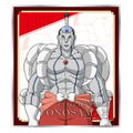 Ace Attorney - The Truth Objection Mini Shikishi Collection (Set of 12 pieces) thumbnail 9