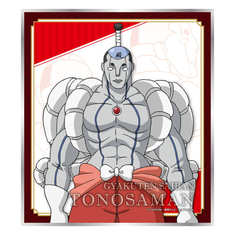 Ace Attorney - The Truth Objection Mini Shikishi Collection (Set of 12 pieces) image 9