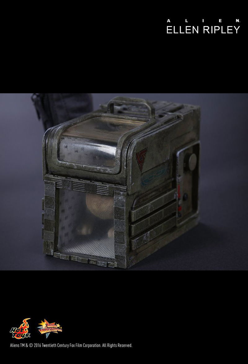 Alien 1/6 Scale Collectible Figure: Ellen Ripley image 14