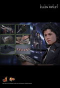 Alien 1/6 Scale Collectible Figure: Ellen Ripley thumbnail 17