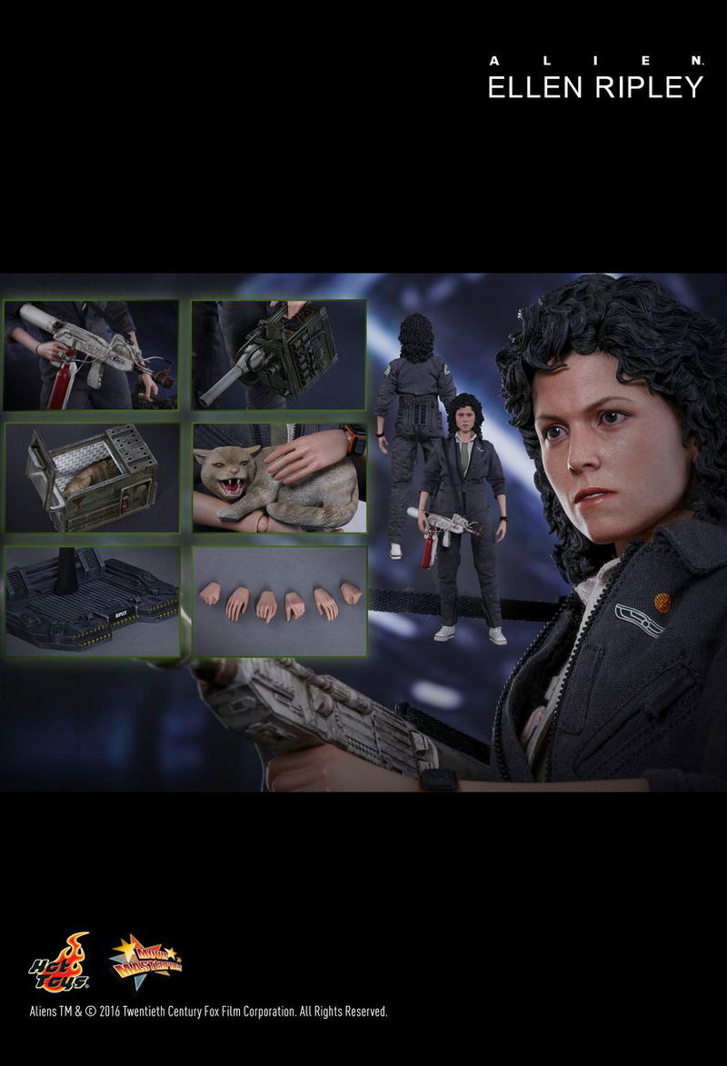 Alien 1/6 Scale Collectible Figure: Ellen Ripley image 17
