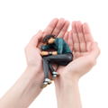 Palmate Extra Series Tiger & Bunny: Kaburagi T. Kotetsu thumbnail 7