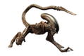 ARTFX+ Alien 3 1/10 Scale Pre-Painted Figure: Dog Alien thumbnail 1