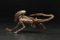 ARTFX+ Alien 3 1/10 Scale Pre-Painted Figure: Dog Alien thumbnail 5