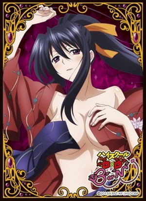 High School DxD BorN Chara Sleeve Collection Matte Series No. MT244: Himejima Akeno_