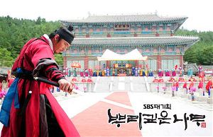 Deep Rooted Tree (Episode 1-24) [5DVD]