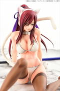 Fairy Tail 1/6 Scale Pre-Painted PVC Figure: Erza Scarlet White Cat Gravure Style thumbnail 20